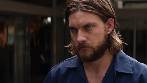 Гладиаторы