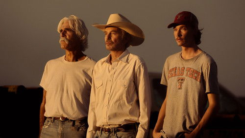 Трагедия и мухи