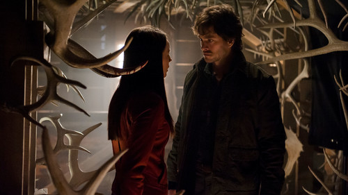 Следующее блюдо